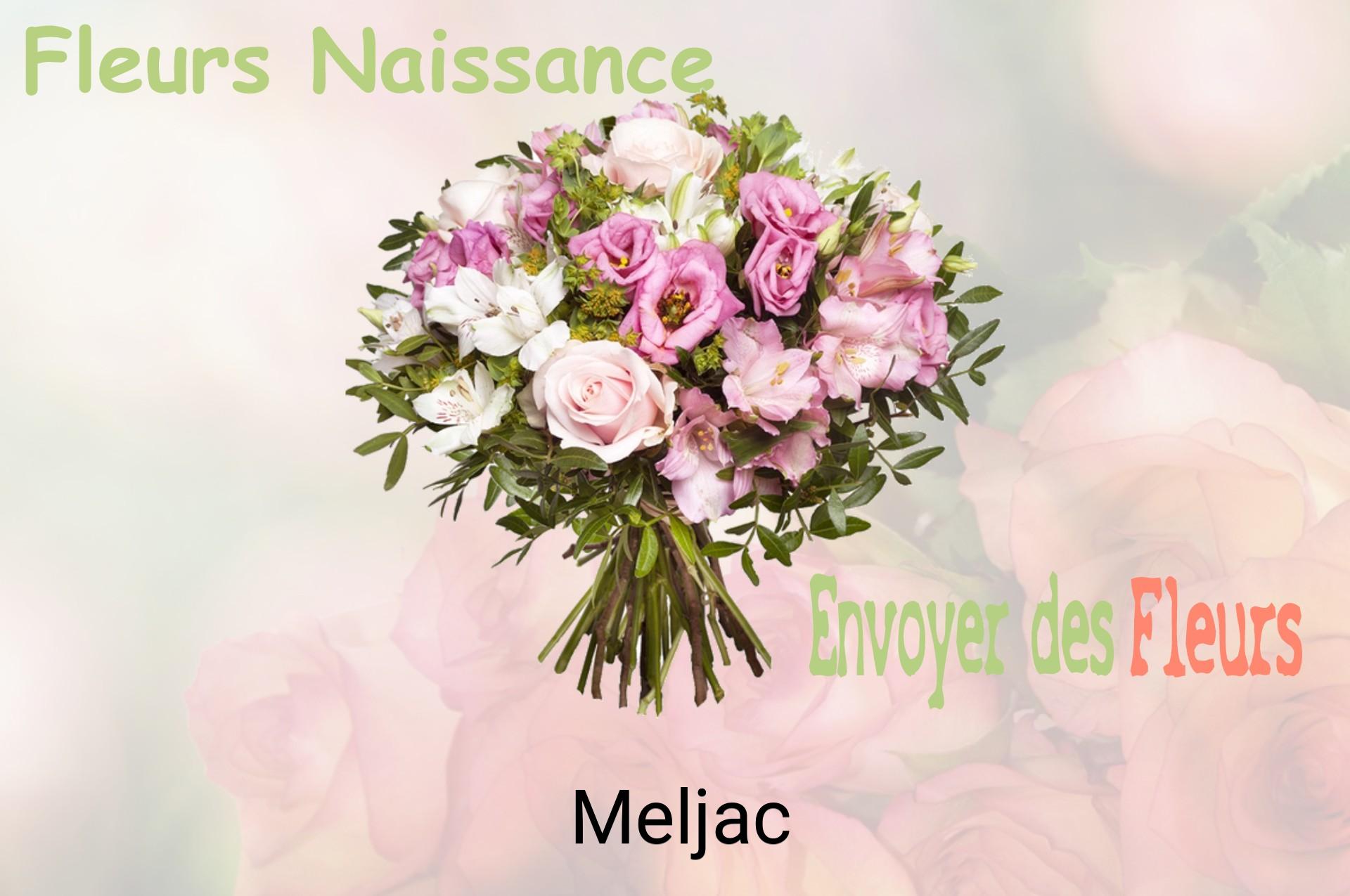 Bouquet de fleurs de naissance livré à Meljac